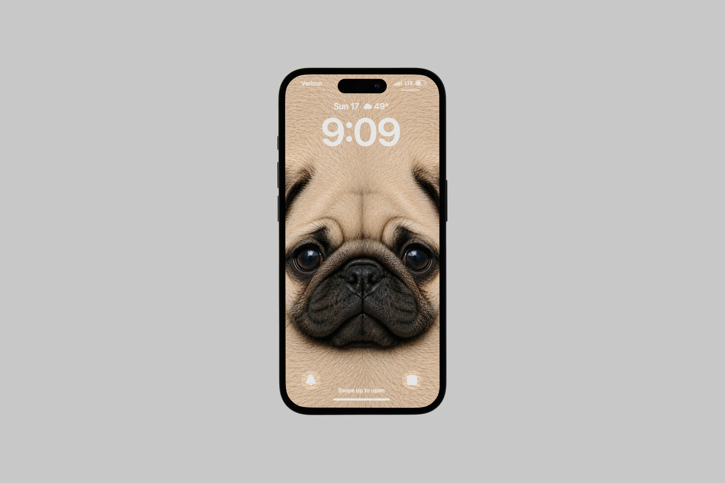 Doggos Wallpaper Pack: 9 Dog Breed Wallpapers for Phone & Desktop