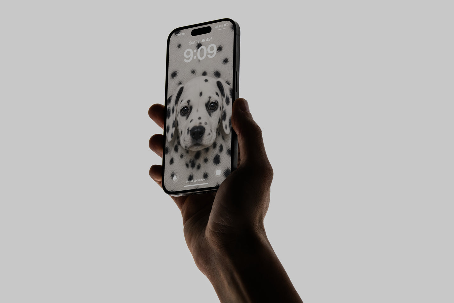 Doggos Wallpaper Pack: 9 Dog Breed Wallpapers for Phone & Desktop
