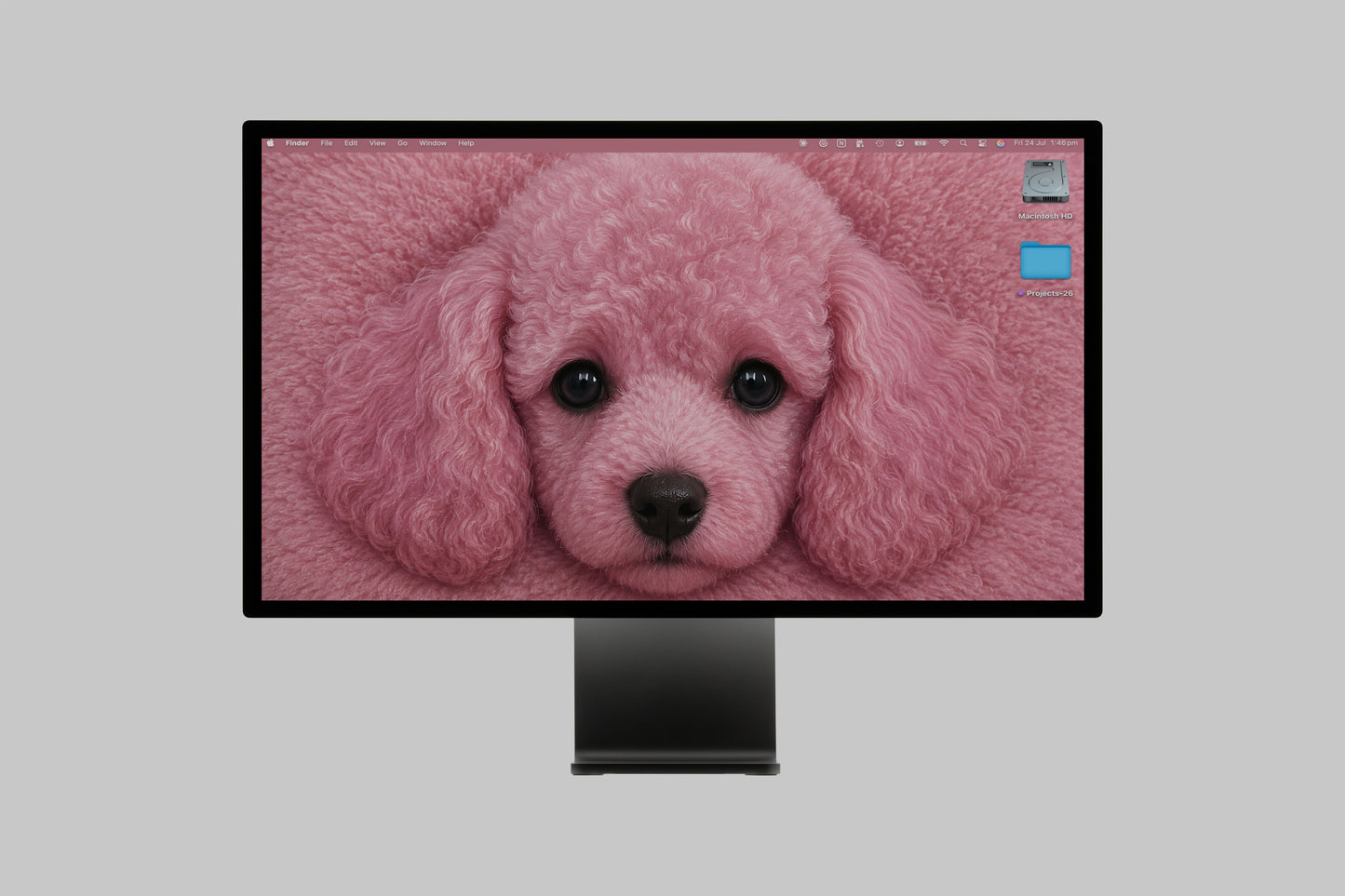 Doggos Wallpaper Pack: 9 Dog Breed Wallpapers for Phone & Desktop